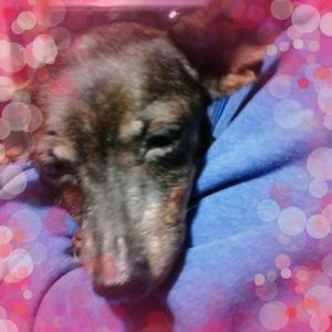 Meet your Posher, April